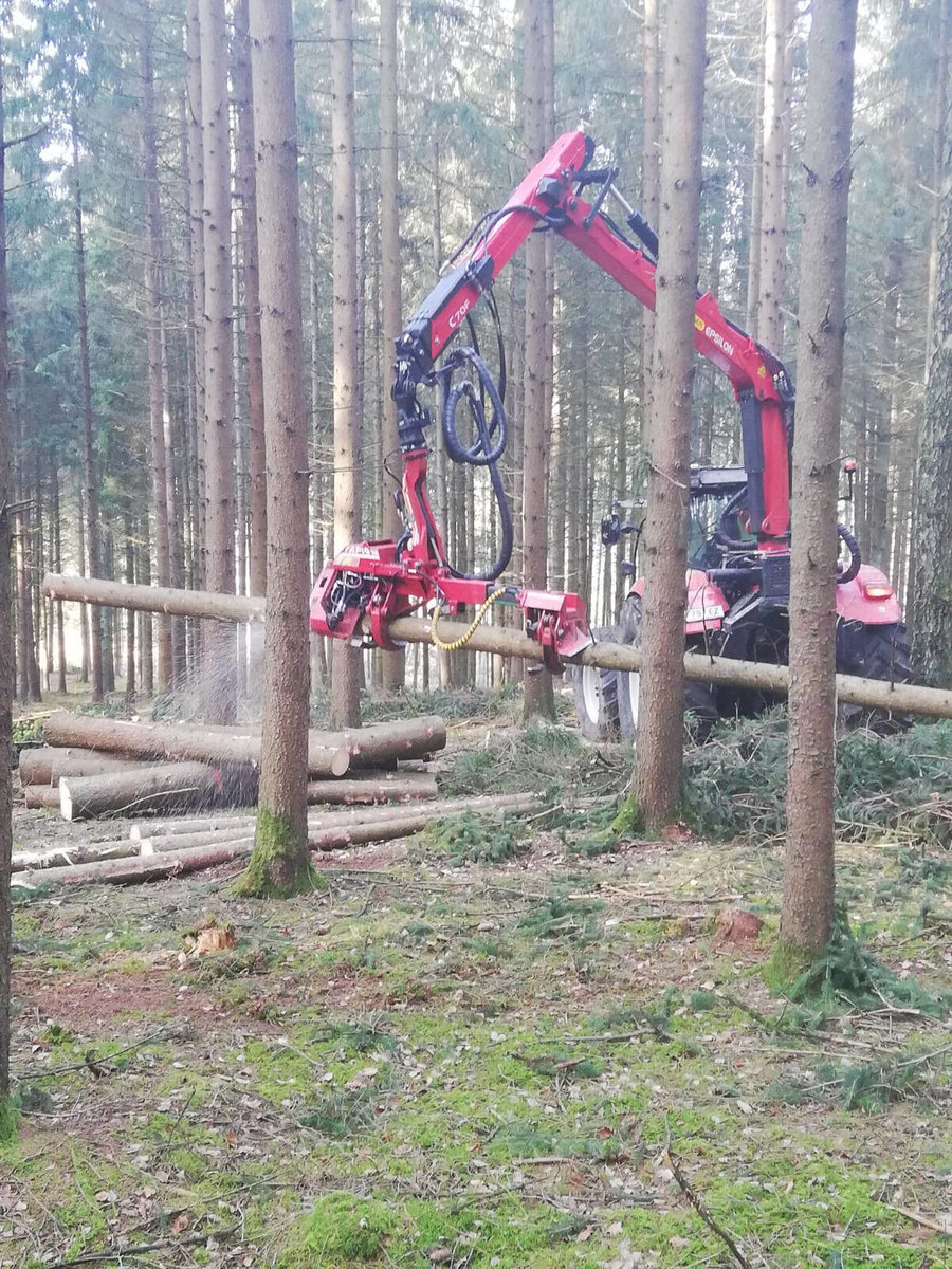 Baumfällung von Forstservice Prinz 