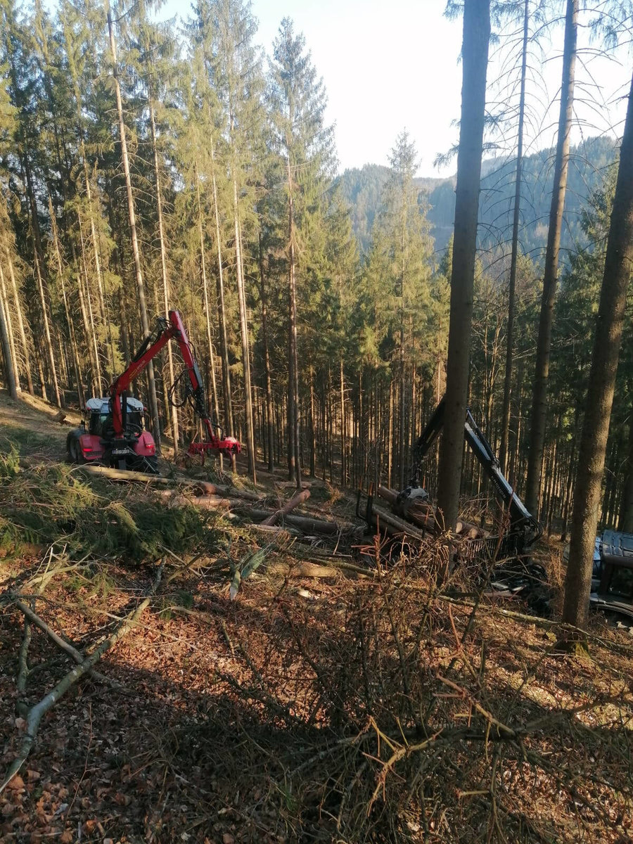 Holzschlägerung am Waldhang von Forstservice Prinz 