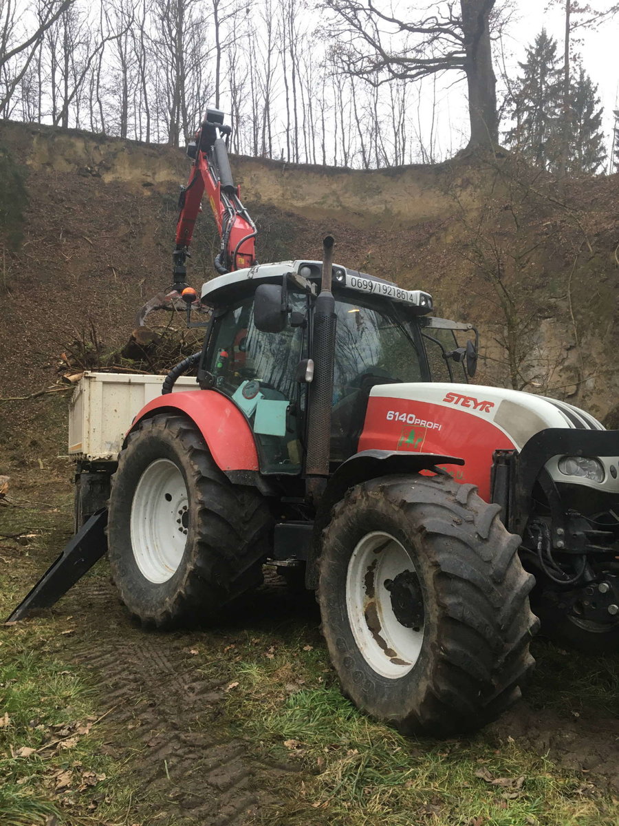 Holzschlägerung von Forstservice Prinz 