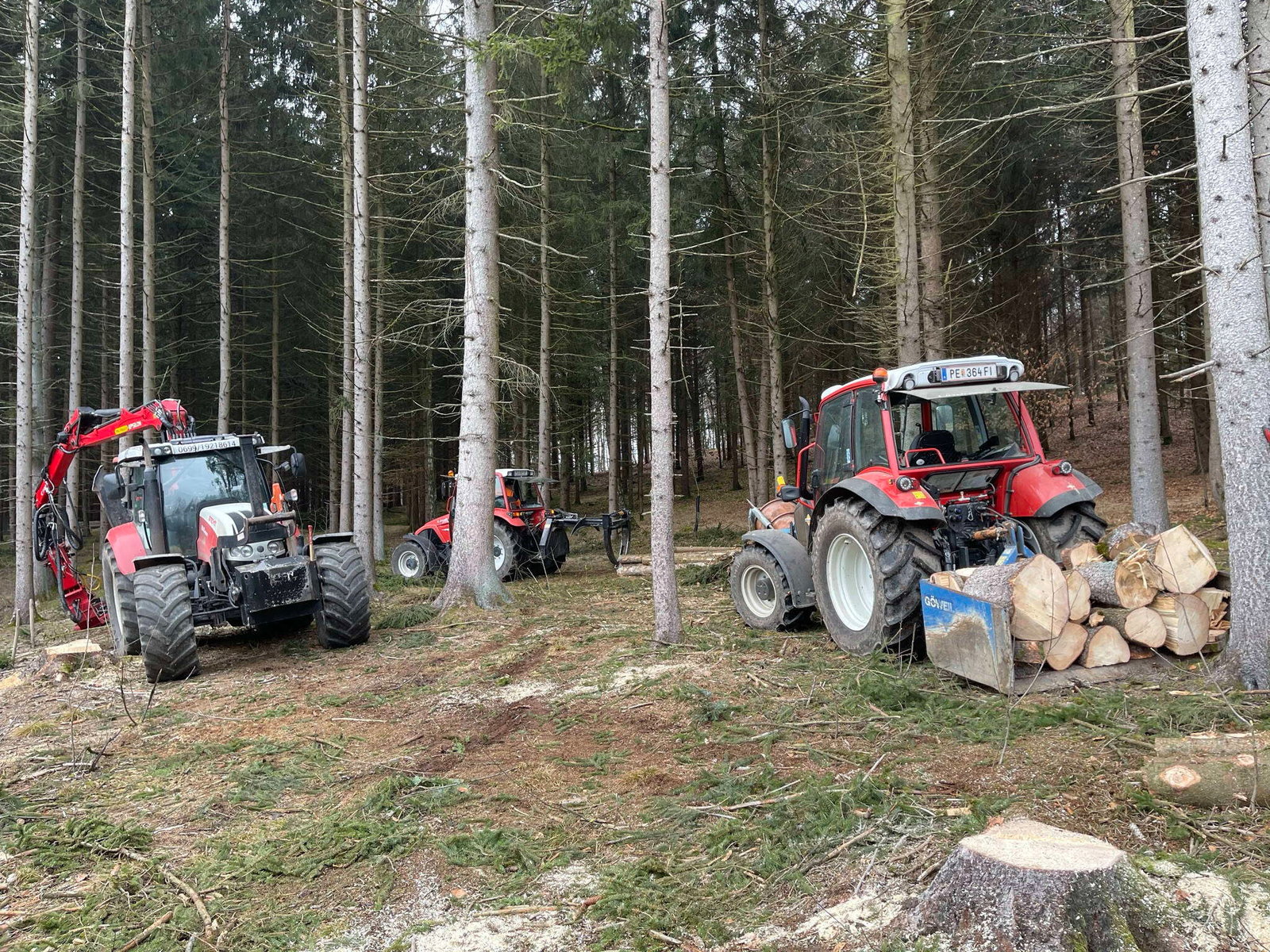Team von Forstservice Prinz bei der Holzschlägerung