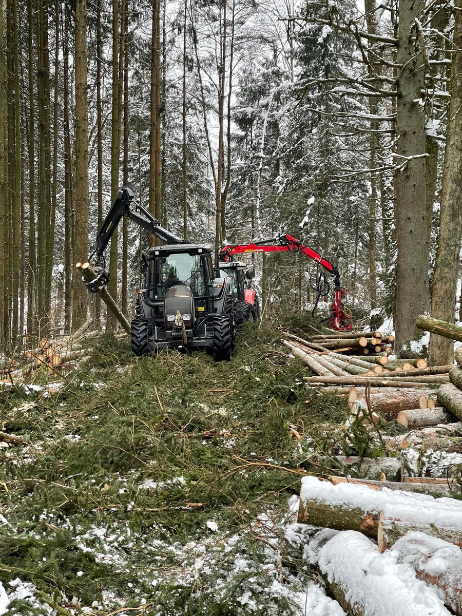 Holzschlägerung von Forstservice Prinz 