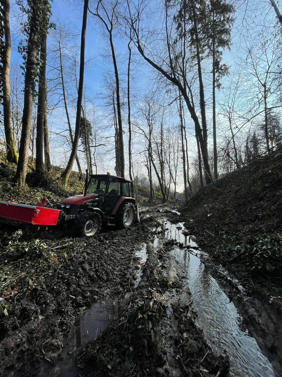 Holzschlägerung der Forstservice Prinz e.U.