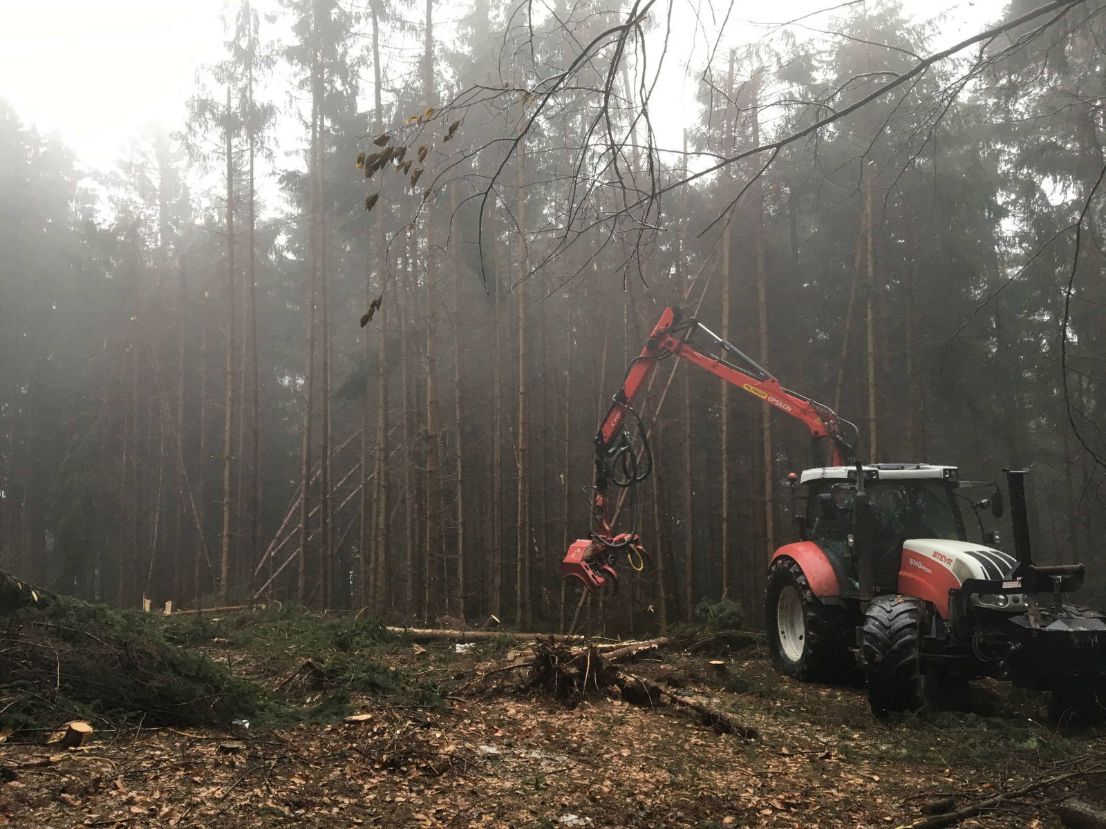 Holzschlägerung von Forstservice Prinz 